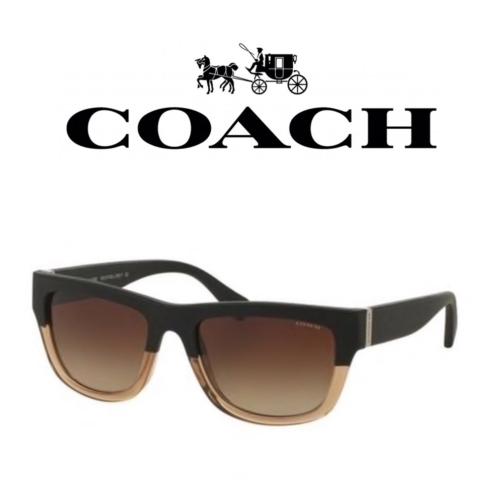 Coach 538013 Black Brown Sunglasses